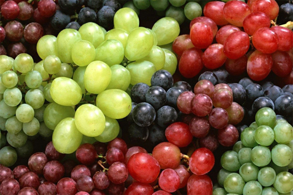 Grapes Image